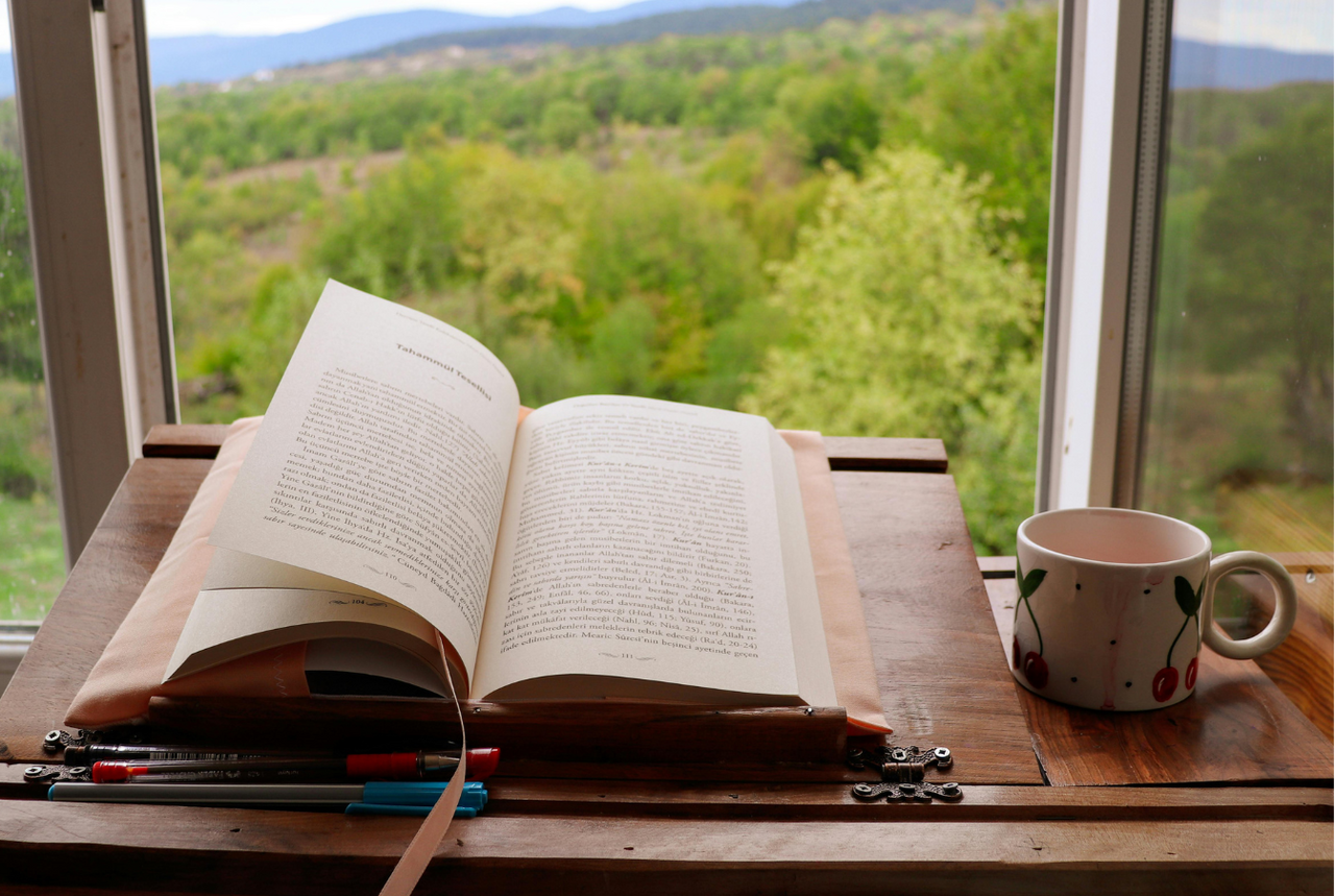 offenes Fenster mit Blick in die Natur, aufgeschlagenes Buch, Tasse