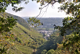 Foto mit Blick auf Weinberge und Tal Rhein-Mosel