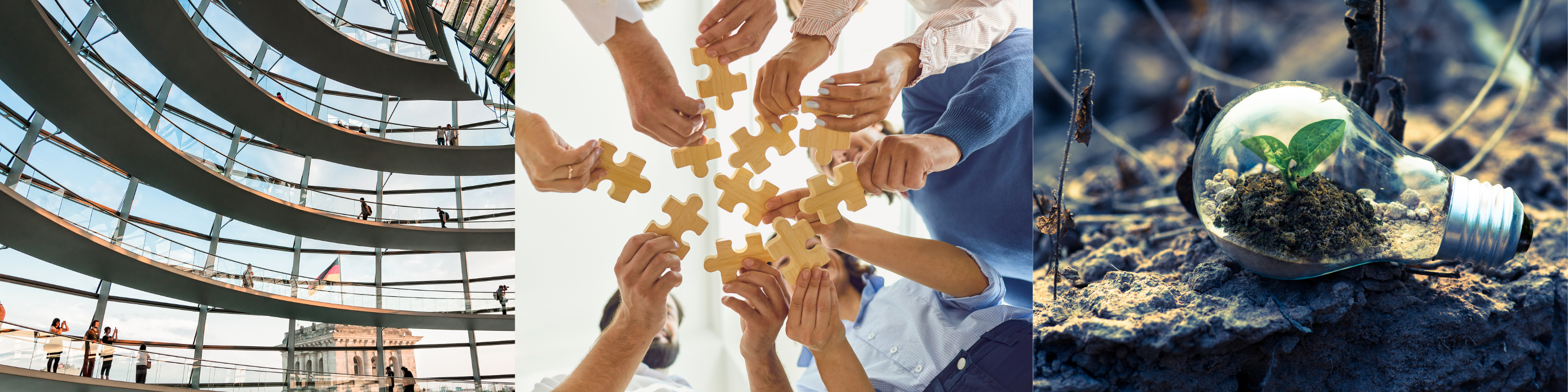 Bilder vom Bundestag, assoziation Demokratie, Planze Keimling in einer Glühbirne, gemeinsame Händer mit Puzzleteilen, 